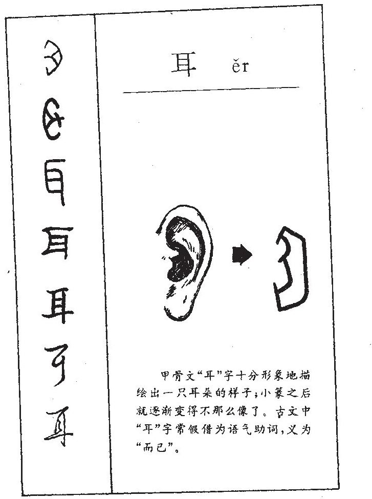 耳字含义及耳字来源演变